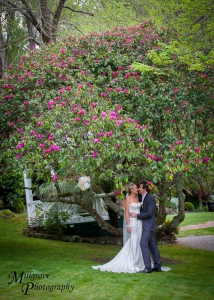 Beautiful bride and groom under a large flowery tree