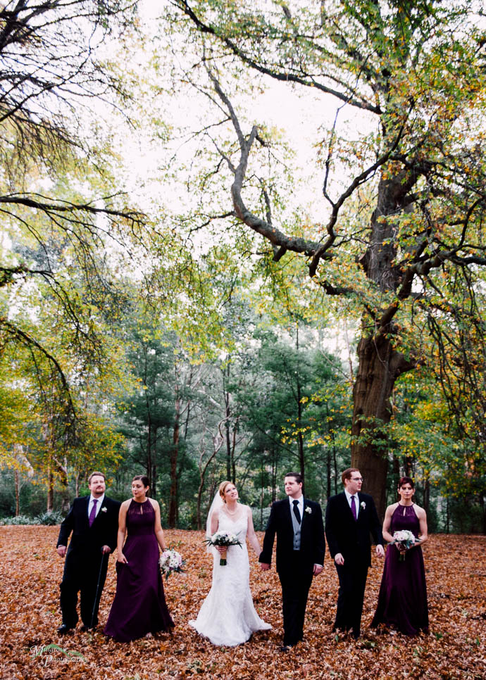 Healesville Gables Wedding