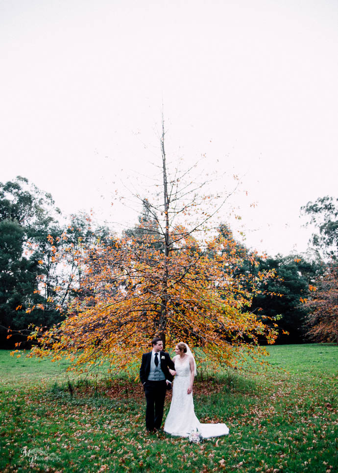 Healesville Gables Wedding