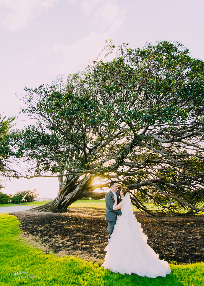 Bride and groom by a big tree in Catani Gardens, St Kilda, Melbourne