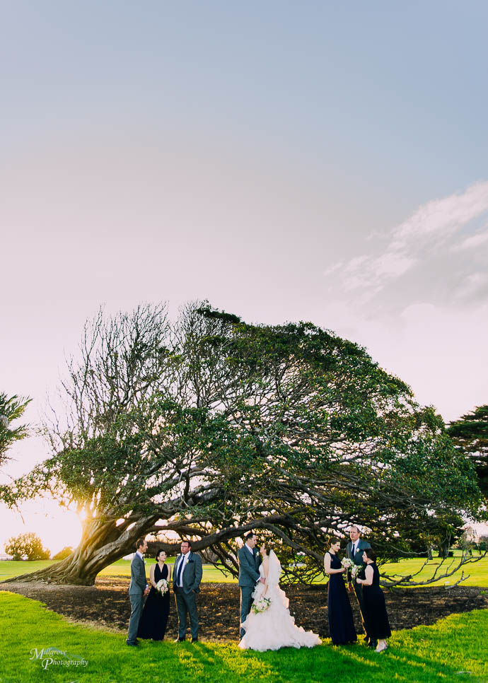 Bridal party by a big tree in Catani Gardens, St Kilda, Melbourne