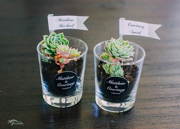 Little succulents with name tags in glass holders