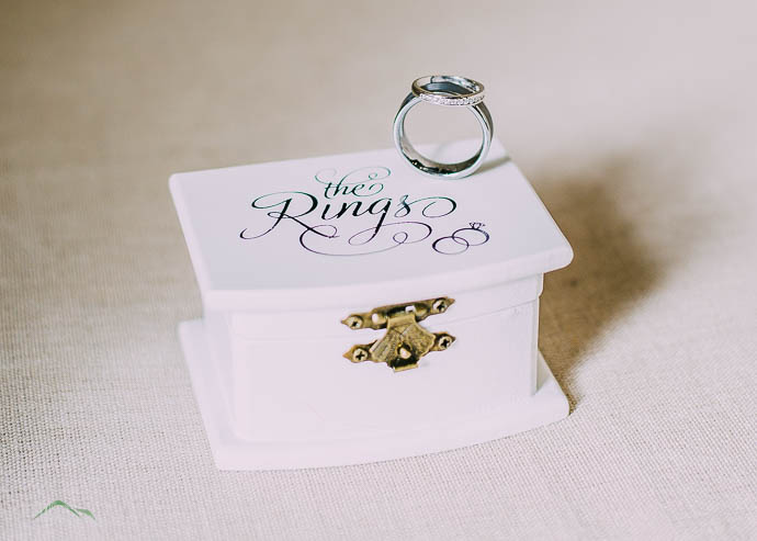 Wedding rings on a ring box