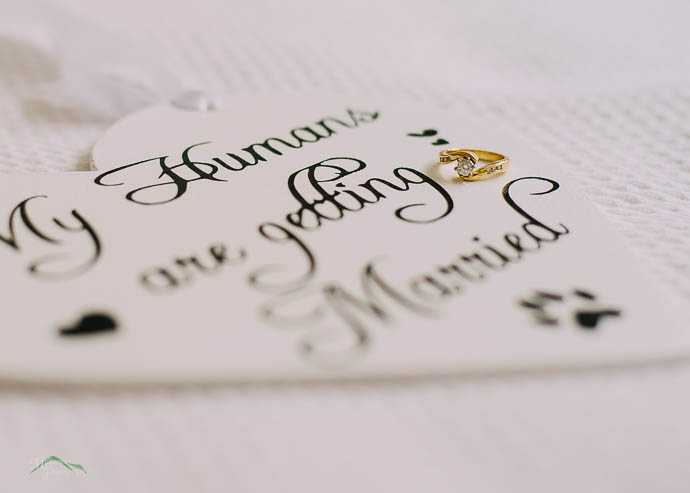 Wedding rings on a heart shaped board