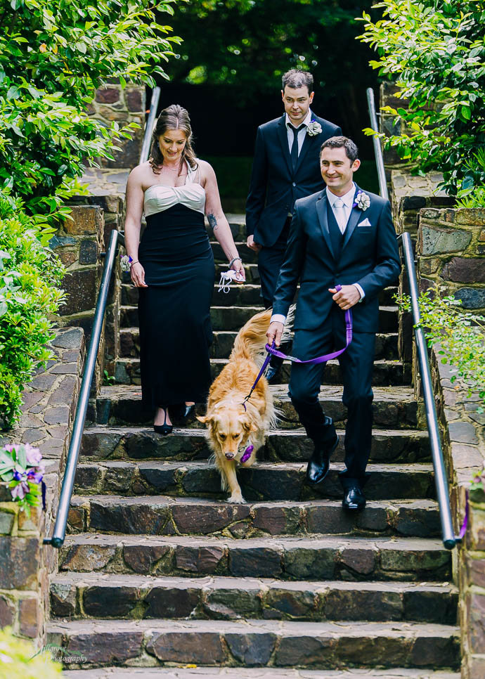 Bridal party walking down the stone stairs at Marybrooke Manor, Sherbrooke
