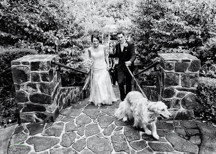 Bride and Groom walking down the aisle with dog at Marybrooke Manor, Sherbrooke