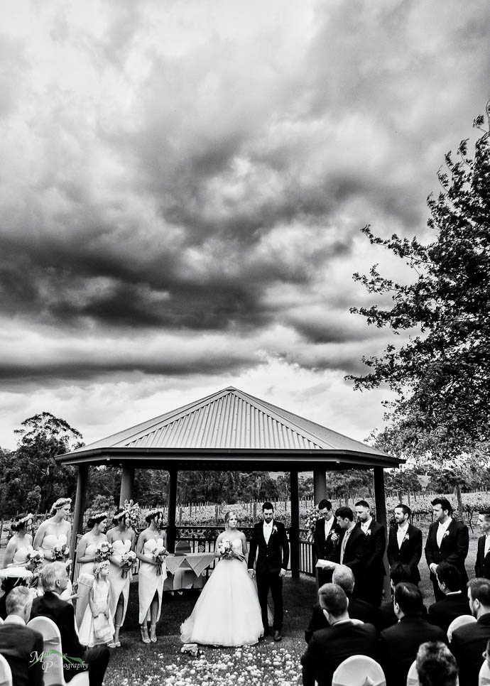 Ceremony at wild cattle creek winery, black and white