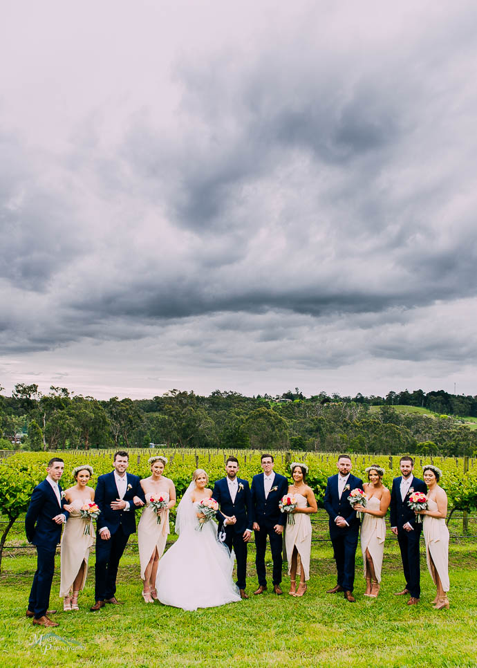 Bridal party in front of the vines at Wild Cattle Creek Winery