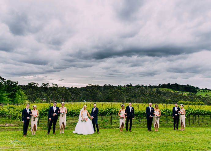 Bridal party in front of the vines at Wild Cattle Creek Winery