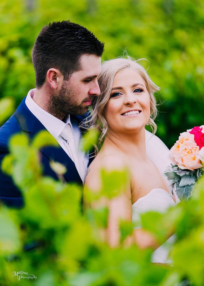 Bride and Groom kissing between the vines at Wild Cattle Creek Winery