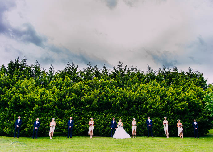 Bridal party in front of a huge hedge at Wild Cattle Creek Winery