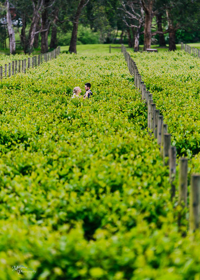 Bridal portrait at Wild Cattle Creek Winery