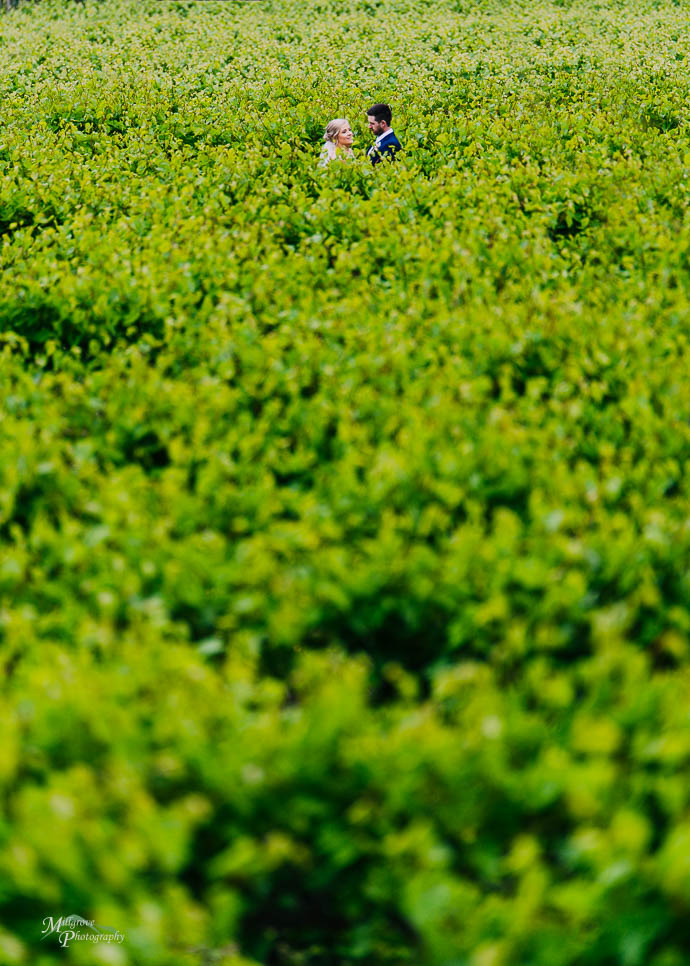 Bridal portrait at Wild Cattle Creek Winery