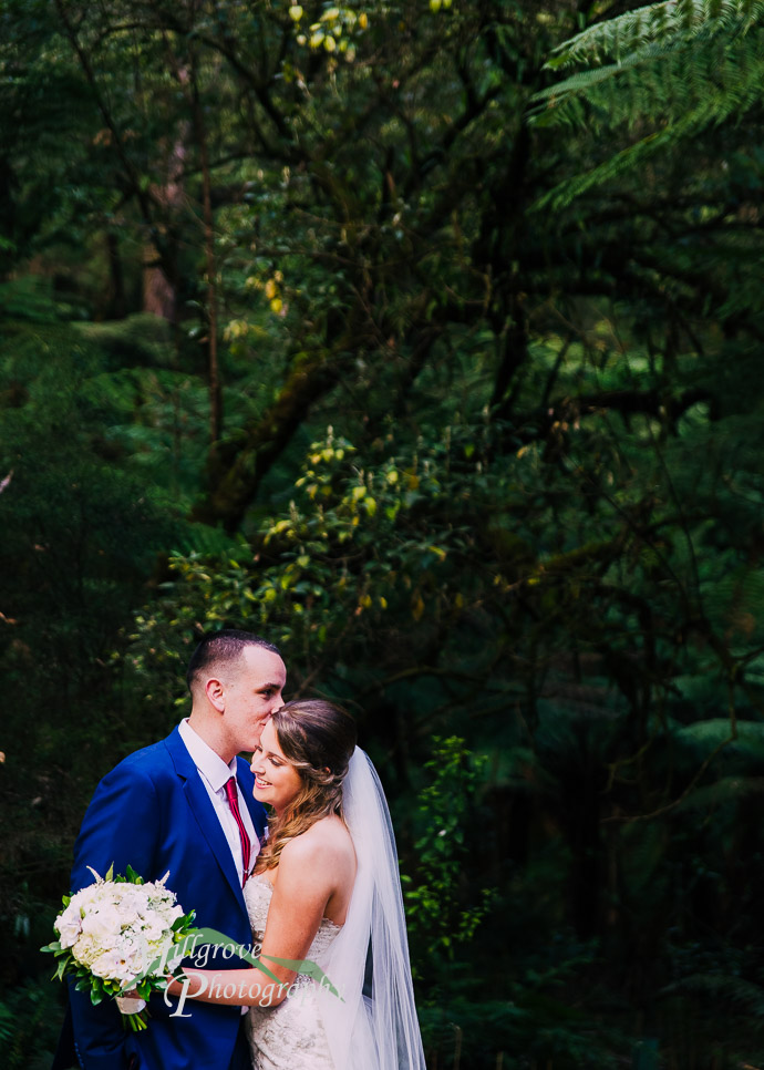 Lyrebird Falls wedding