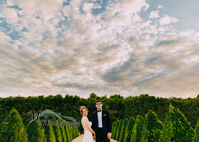 A bride and groom in a garden