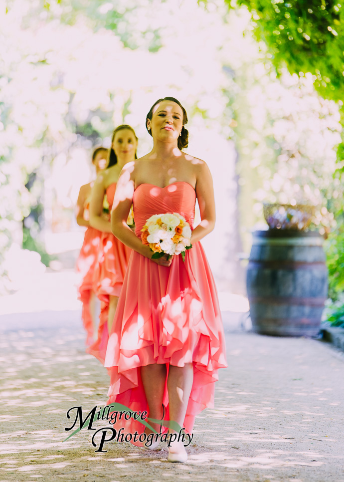 A wedding ceremony at Alowyn Gardens