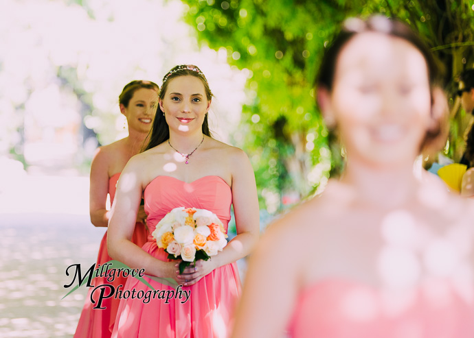 A wedding ceremony at Alowyn Gardens