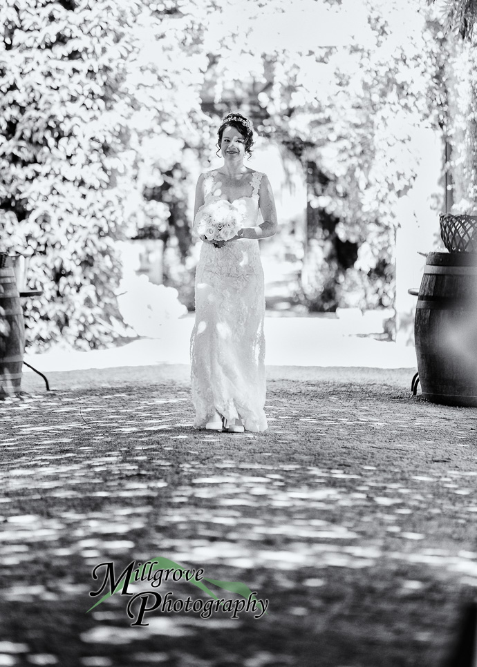 A wedding ceremony at Alowyn Gardens