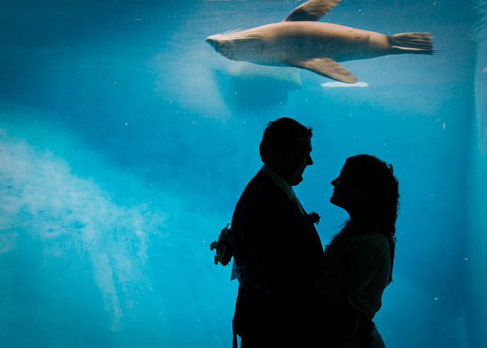 Melbourne Zoo Weddings - A bride and groom standing with a seal swimming behind them