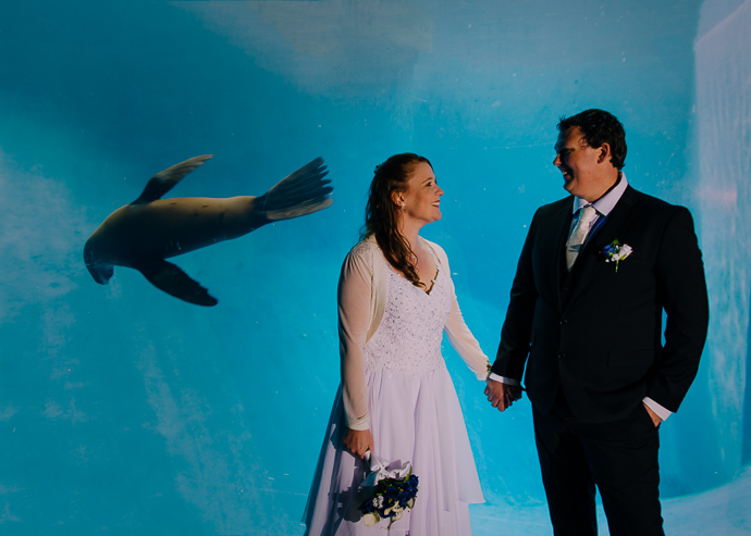 Melbourne Zoo Weddings - A bride and groom standing with a seal swimming behind them