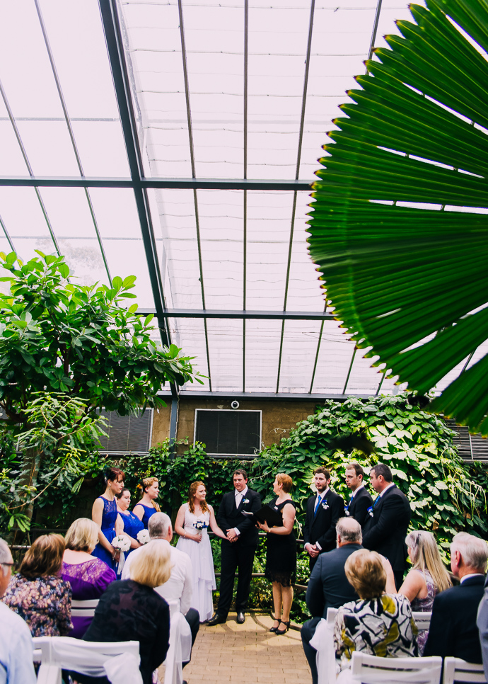 A Melbourne Zoo wedding in the butterfly house