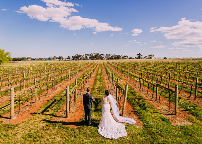 A bride and groom at a winery wedding