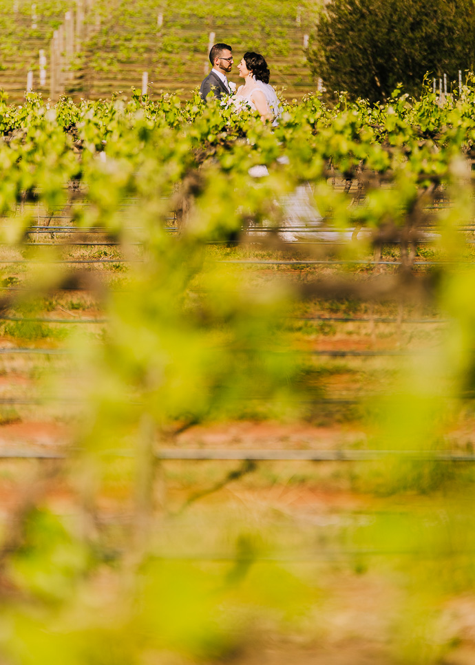 A bride and groom at a winery wedding at Witchmount Estate
