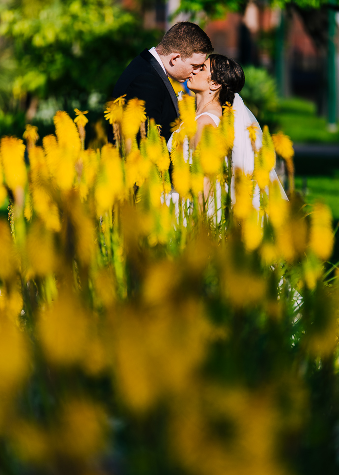 A bride and groom amongst yellow flowers in Carlton Gardens