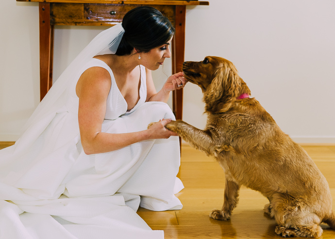 A bride patting her cute dog